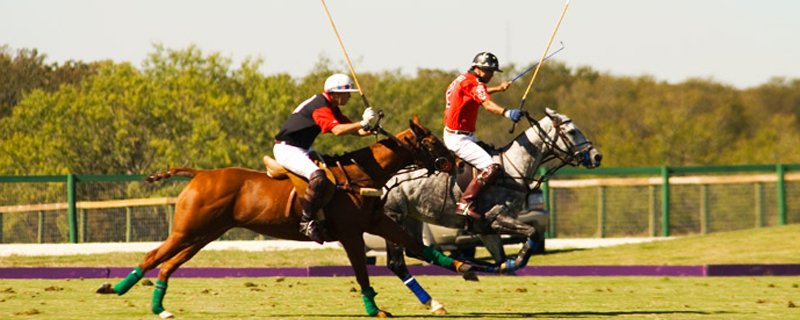 Rambagh Polo Ground 